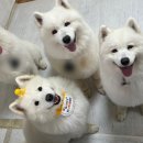 (주)화신건설