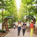 인천 대공원 숲길 걷기 2024.7.13.(토) 이미지
