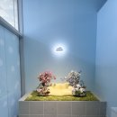동산애견 이미지