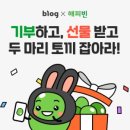 빅콩 이미지