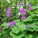 연두목장 이미지