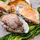 일등유통 이미지