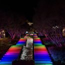 고령주유소 | 고령 대가야수목원 눈 내리는 빛의 숲 고령축제 후기