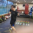 골든복싱 | 동탄복싱 제대로 배우는 곳, 골든보이 복싱짐에서 느낀 진짜 훈련 후기