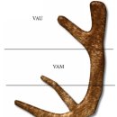 (주)대한녹용수출입법인 이미지