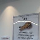 노랑태;담다