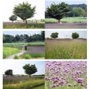쉼이필요할때 이미지