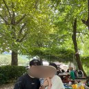 미림황토별펜션 | 1박 2일 여행, 제천 여름 가족여행 : 송계계곡, 미림황토별펜션, 토박이가든, 카페탄지리