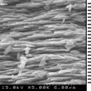 좋은광택 이미지