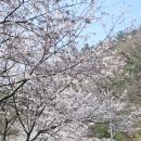 덕동 마을회관 이미지