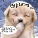 펀라이프 이미지