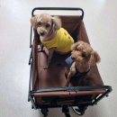 땡구야놀자 이미지