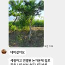 구룡천2 이미지