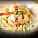 예스예스애견 이미지