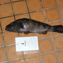 아까비 당구장 이미지