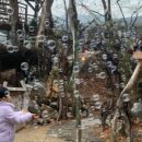 금나래식당 - 서구 바리미로5번길 26 | 금나래식당