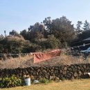 제주에펜션103 | 제주감성숙소 별천지,함덕해수욕장 근처 가성비 독채 펜션