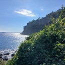 ㈜자생환경 이미지