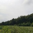 전지 작업