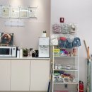 까까네 애견미용 이미지