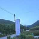 오스테리아 담안(osteria daman) | 강원도 정선 맛집 이탈리안레스토랑 오스테리아 담안