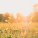 고마워 한의원 이미지