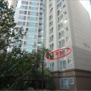 도림천로 이미지