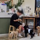 꼬숩당개 이미지