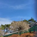 김상문농장 이미지