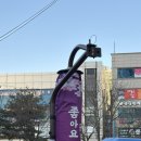 꼬꼬퀸즈 이미지