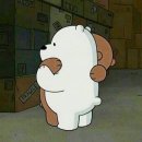 바커스 | [2025.08.02/취미생활] 🎸 바커스 BTE 1 RSM 개봉 + 스콰이어 긱백 리뷰