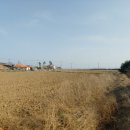 마중리 마을회관 이미지