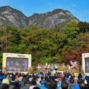 제27회 포천 산정호수 명성산 억새꽃 축제 이미지