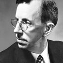 노벨전자 이미지