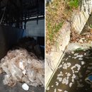 엔케이(NK)솔루션 이미지