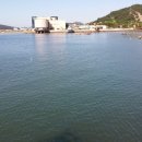 2017,9.17 국립해양문화재 연구소 신안선보물전시 이미지