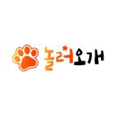 놀러오개 애견유치원 애견호텔 안양점 이미지