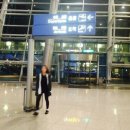 오로지김치한포기 이미지