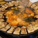 늘푸른 애견샵 이미지