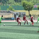 청송군생활체육공원 운동장 이미지