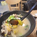 신미야채 이미지