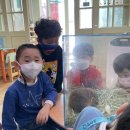 청운유치원 이미지