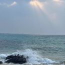 애월비치호텔 | 제주 애월 오션뷰 숙소 곽지해수욕장 마레보비치 호텔 솔직후기