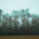 백록담한의원 이미지