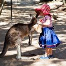 타운스빌 이미지