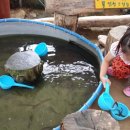 선민목장 이미지