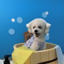 호텔대구 이미지