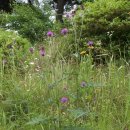 화도중학교 이미지