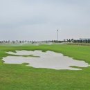 드래곤 골프 이미지