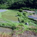 고향내음 이미지